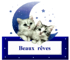 beaux rêves chats